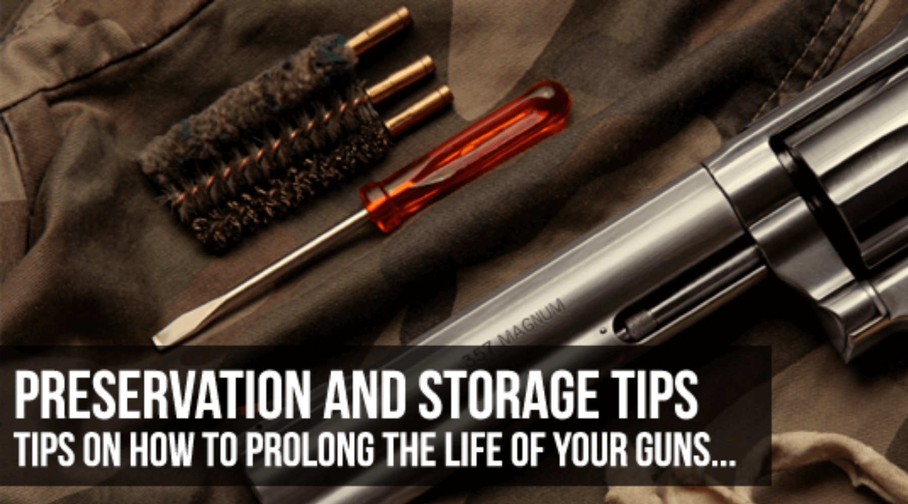 preservation-and-storage-guns